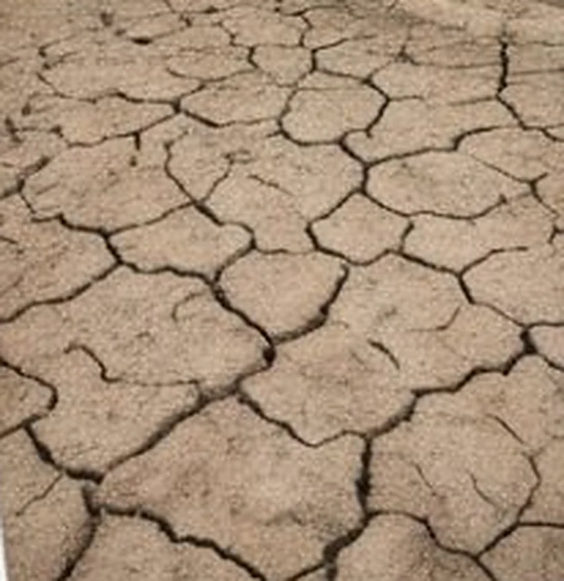 Dry ground split into deep polygonal shrinkage cracks